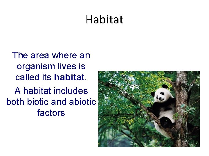 Habitat The area where an organism lives is called its habitat. A habitat includes