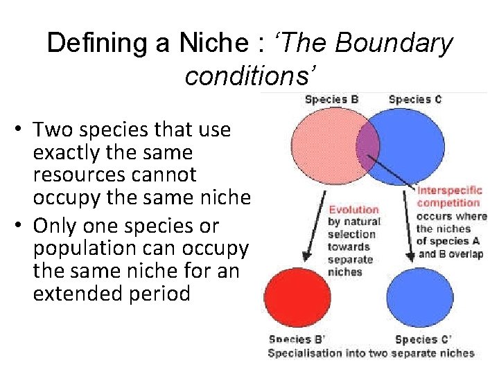 Defining a Niche : ‘The Boundary conditions’ • Two species that use exactly the