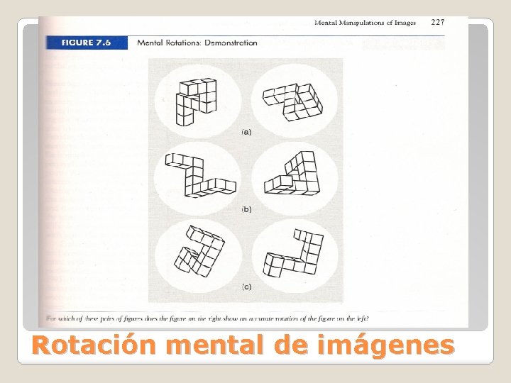 Rotación mental de imágenes 