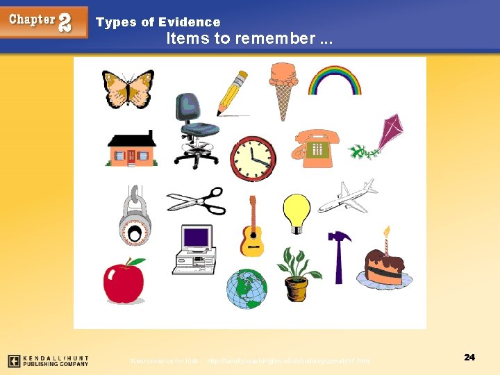 Types of Evidence Items to remember. . . Neuroscience for Kids - http: //faculty.