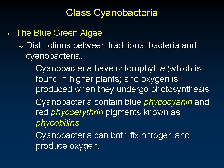 Class Cyanobacteria • The Blue Green Algae v Distinctions between traditional bacteria and cyanobacteria.