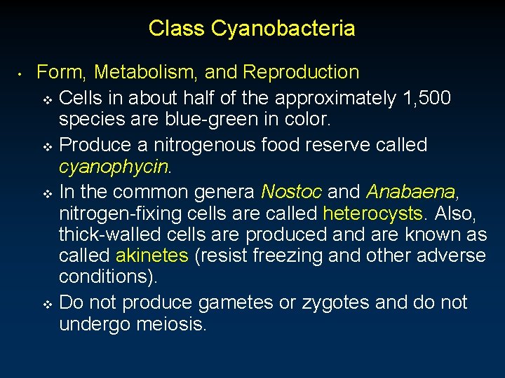 Class Cyanobacteria • Form, Metabolism, and Reproduction v Cells in about half of the