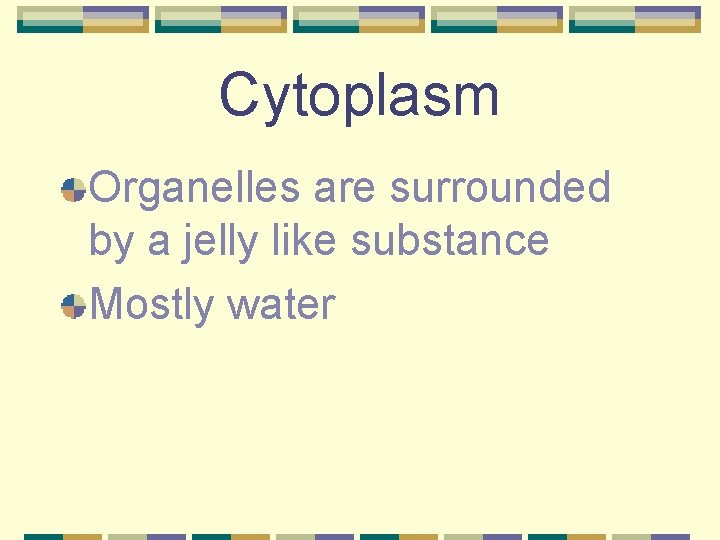 Cytoplasm Organelles are surrounded by a jelly like substance Mostly water 