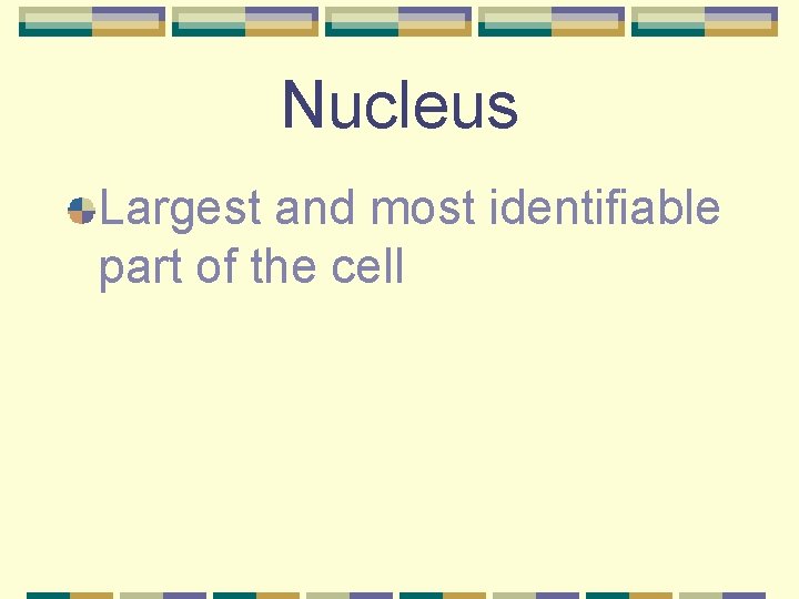 Nucleus Largest and most identifiable part of the cell 