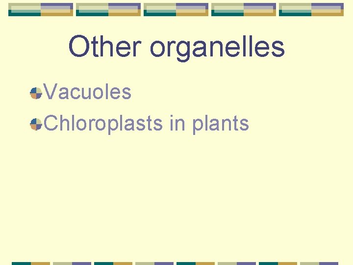 Other organelles Vacuoles Chloroplasts in plants 