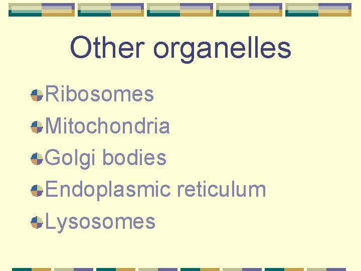 Other organelles Ribosomes Mitochondria Golgi bodies Endoplasmic reticulum Lysosomes 