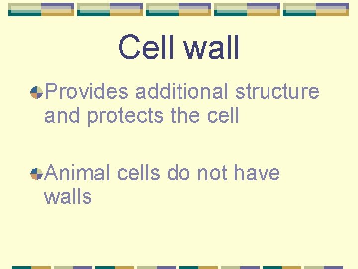 Cell wall Provides additional structure and protects the cell Animal cells do not have