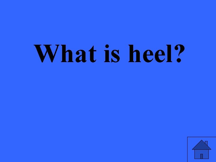 What is heel? 