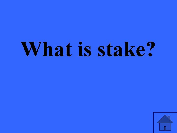 What is stake? 