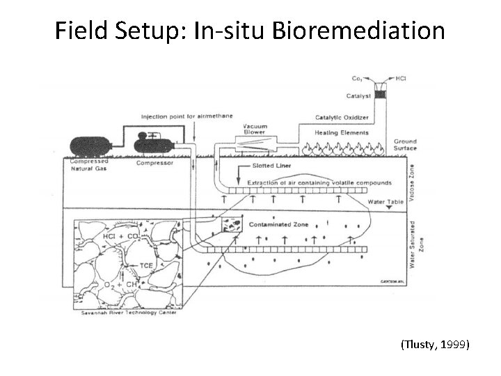 Field Setup: In-situ Bioremediation (Tlusty, 1999) 