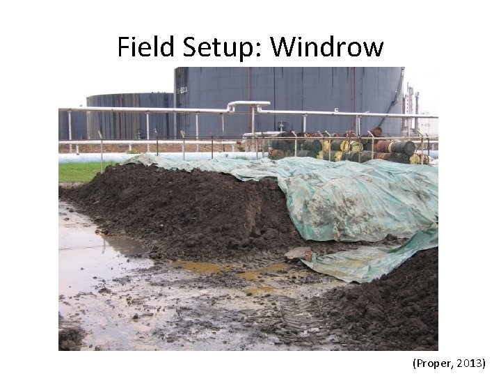 Field Setup: Windrow (Proper, 2013) 