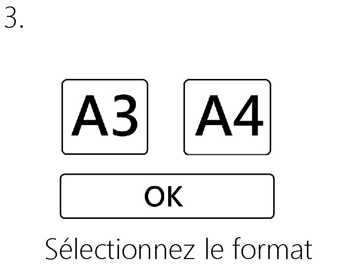 3. Sélectionnez le format 