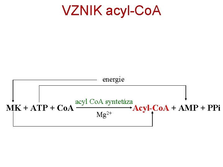 VZNIK acyl-Co. A energie MK + ATP + Co. A acyl Co. A syntetáza