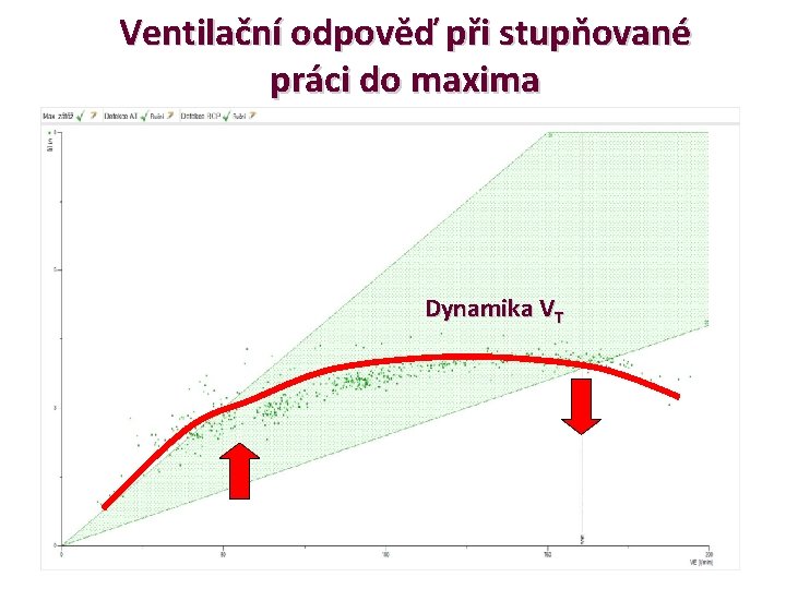 Ventilační odpověď při stupňované práci do maxima Dynamika VT 