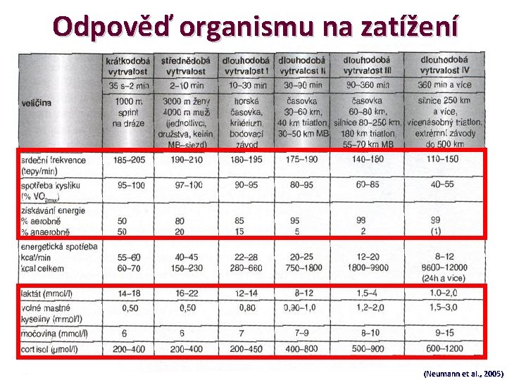 Odpověď organismu na zatížení (Neumann et al. , 2005) 