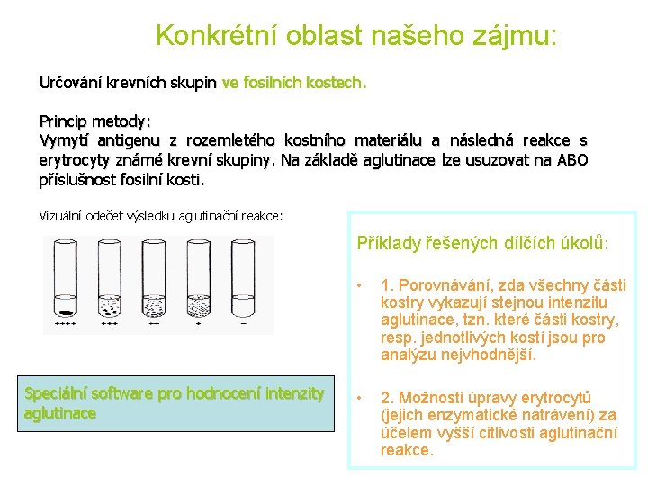 Konkrétní oblast našeho zájmu: Určování krevních skupin ve fosilních kostech. Princip metody: Vymytí antigenu