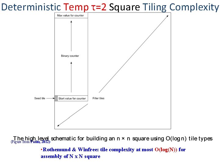 Deterministic Temp τ=2 Square Tiling Complexity (Figure from Patitz, 2012) • Rothemund & Winfree: