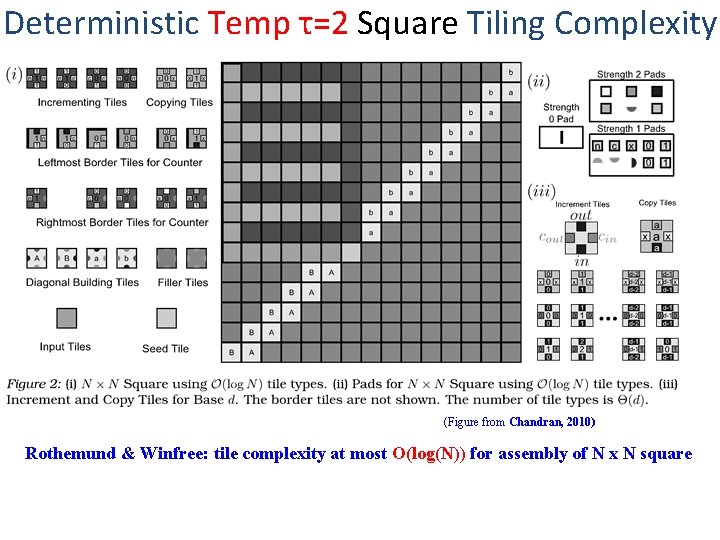 Deterministic Temp τ=2 Square Tiling Complexity (Figure from Chandran, 2010) Rothemund & Winfree: tile