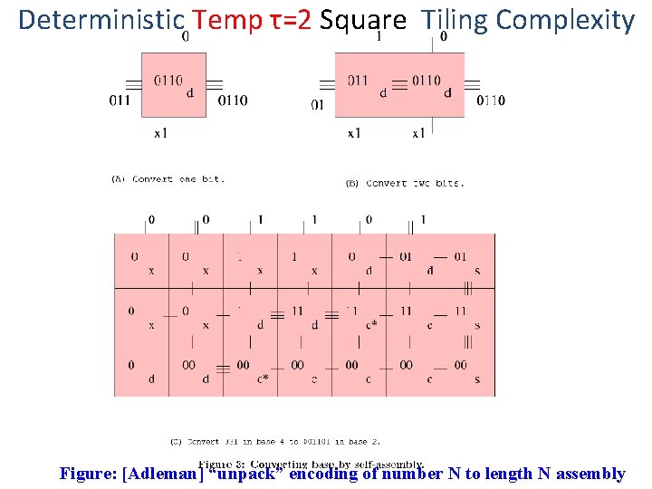 Deterministic Temp τ=2 Square Tiling Complexity Figure: [Adleman] “unpack” encoding of number N to