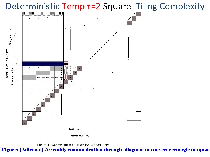 Deterministic Temp τ=2 Square Tiling Complexity Figure: [Adleman] Assembly communication through diagonal to convert