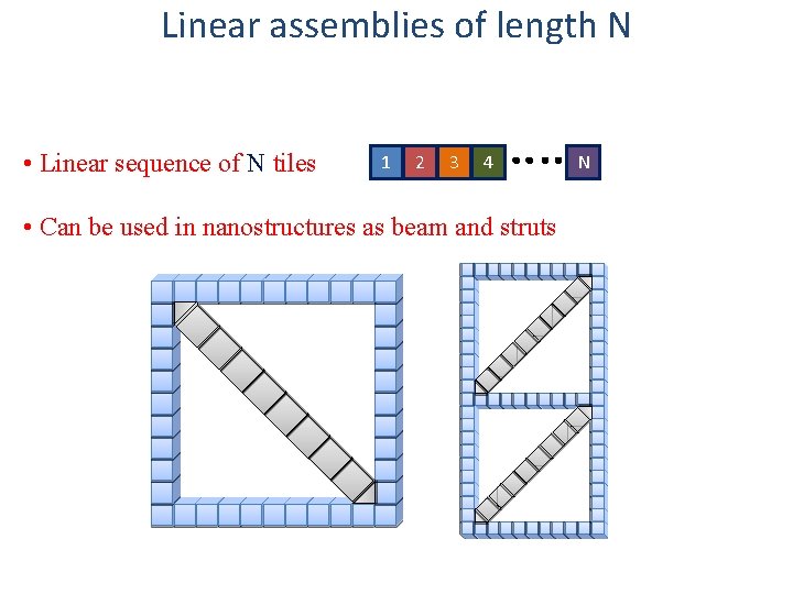 Linear assemblies of length N • Linear sequence of N tiles 1 2 3