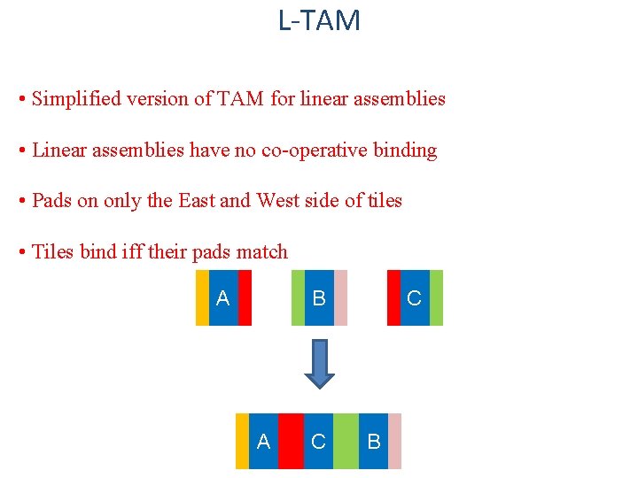 L-TAM • Simplified version of TAM for linear assemblies • Linear assemblies have no
