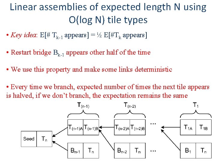 Linear assemblies of expected length N using O(log N) tile types • Key idea: