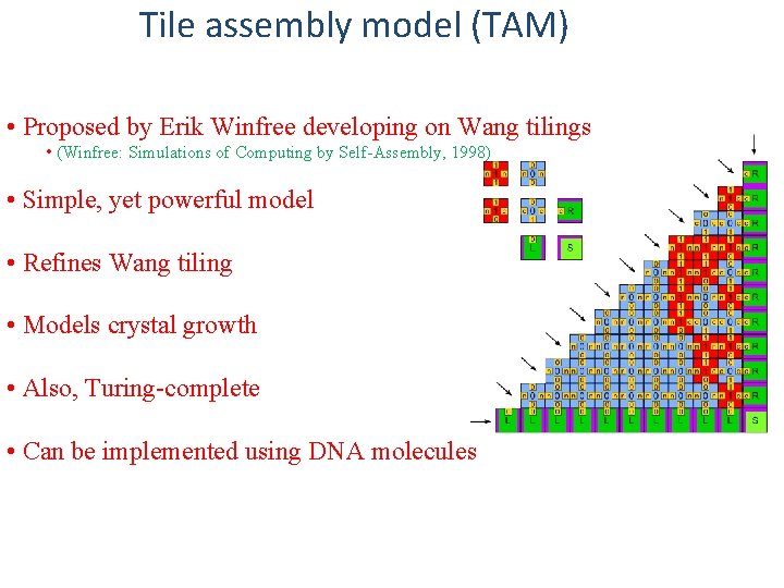 Tile assembly model (TAM) • Proposed by Erik Winfree developing on Wang tilings •