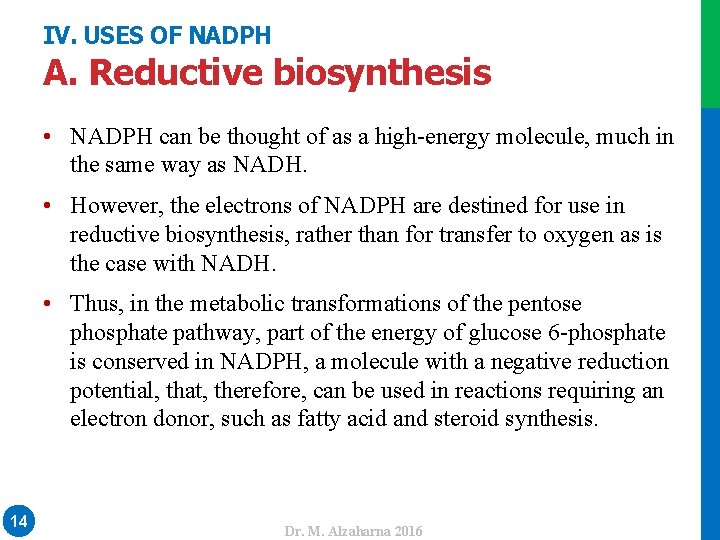 IV. USES OF NADPH A. Reductive biosynthesis • NADPH can be thought of as