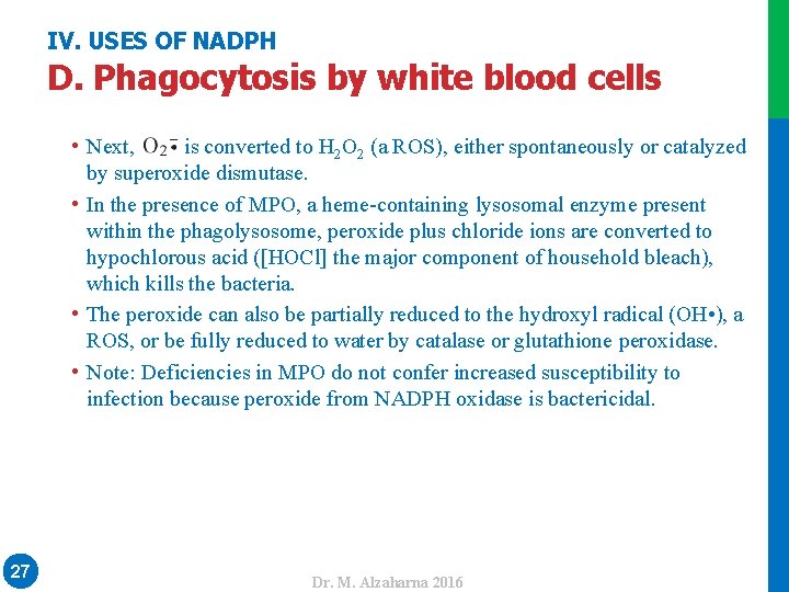 IV. USES OF NADPH • Next, is converted to H 2 O 2 (a