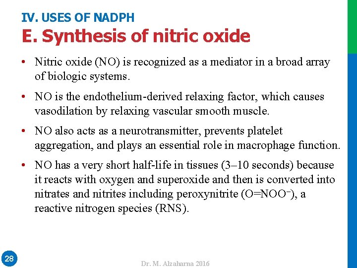 IV. USES OF NADPH E. Synthesis of nitric oxide • Nitric oxide (NO) is