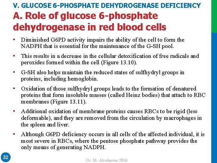 V. GLUCOSE 6 -PHOSPHATE DEHYDROGENASE DEFICIENCY A. Role of glucose 6 -phosphate dehydrogenase in