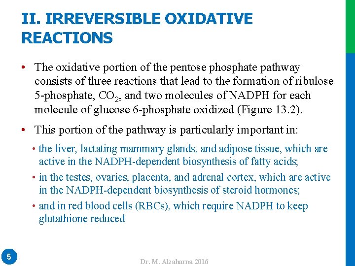 II. IRREVERSIBLE OXIDATIVE REACTIONS • The oxidative portion of the pentose phosphate pathway consists