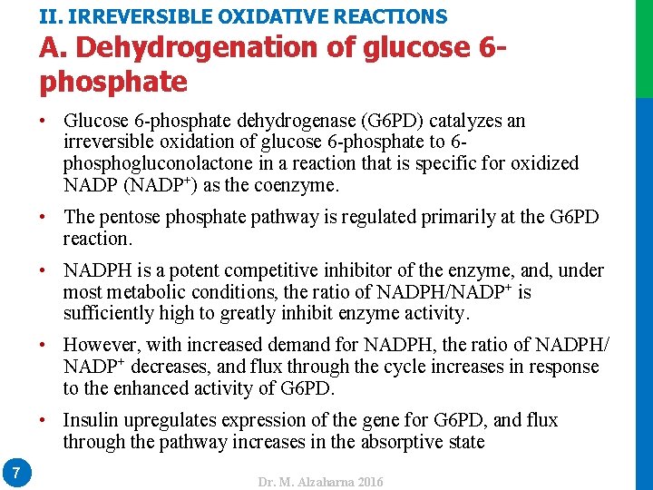 II. IRREVERSIBLE OXIDATIVE REACTIONS A. Dehydrogenation of glucose 6 phosphate • Glucose 6 -phosphate