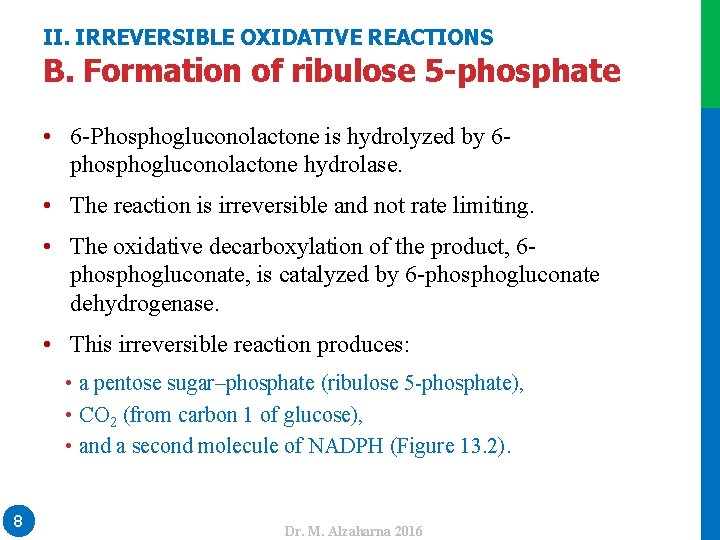II. IRREVERSIBLE OXIDATIVE REACTIONS B. Formation of ribulose 5 -phosphate • 6 -Phosphogluconolactone is
