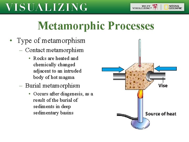 Metamorphic Processes • Type of metamorphism – Contact metamorphism • Rocks are heated and