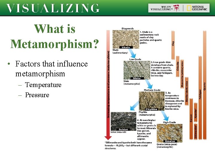 What is Metamorphism? • Factors that influence metamorphism – Temperature – Pressure 
