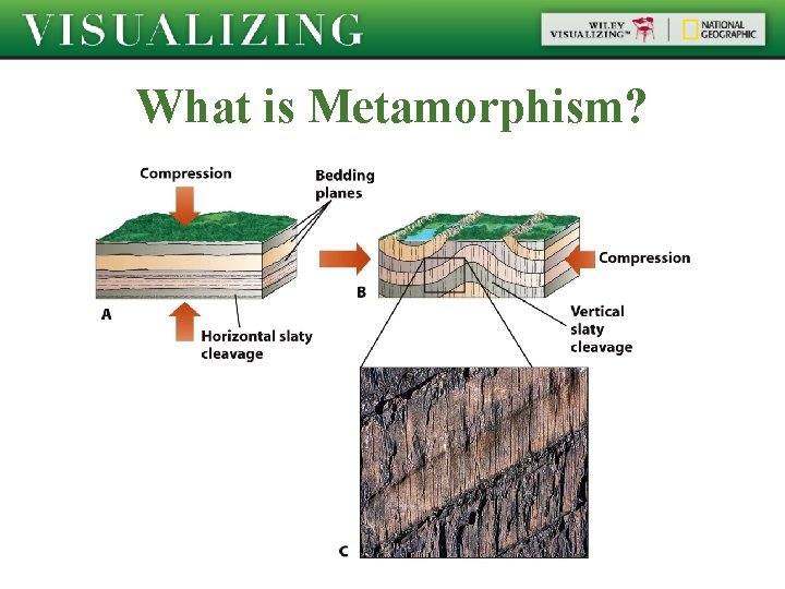What is Metamorphism? 