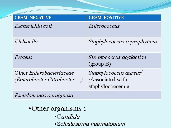 GRAM NEGATIVE GRAM POSITIVE Escherichia coli Enterococcus Klebsiella Staphylococcus saprophyticus Proteus Streptococcus agalactiae (group