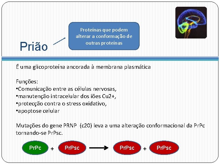 Proteínas que podem alterar a conformação de outras proteínas Prião É uma glicoproteína ancorada