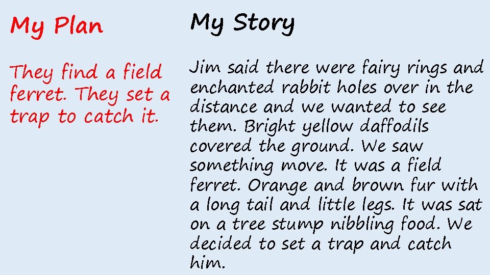 My Plan My Story They find a field ferret. They set a trap to