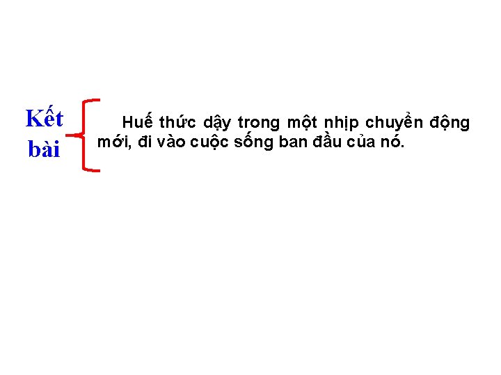 Kết bài Huế thức dậy trong một nhịp chuyển động mới, đi vào cuộc