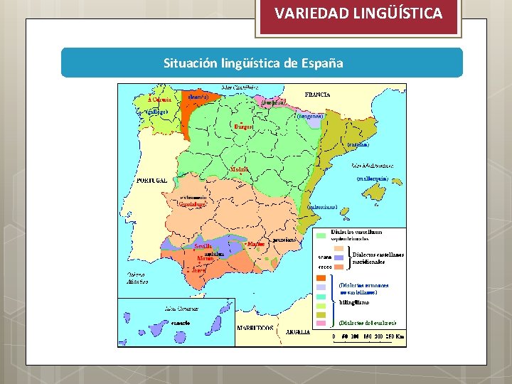 VARIEDAD LINGÜÍSTICA Situación lingüística de España 