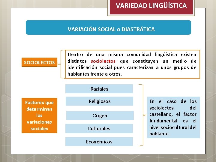 VARIEDAD LINGÜÍSTICA VARIACIÓN SOCIAL o DIASTRÁTICA SOCIOLECTOS Dentro de una misma comunidad lingüística existen