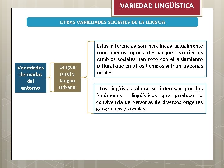 VARIEDAD LINGÜÍSTICA OTRAS VARIEDADES SOCIALES DE LA LENGUA Variedades derivadas del entorno Lengua rural