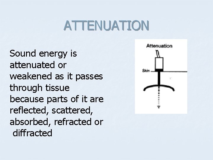 ATTENUATION Sound energy is attenuated or weakened as it passes through tissue because parts