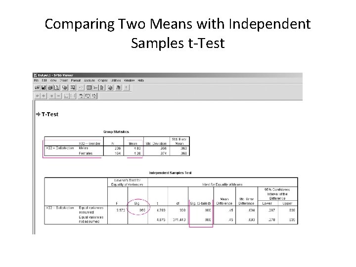 Comparing Two Means with Independent Samples t-Test 