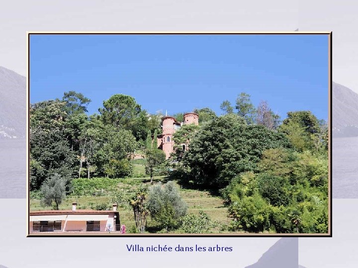 Villa nichée dans les arbres 