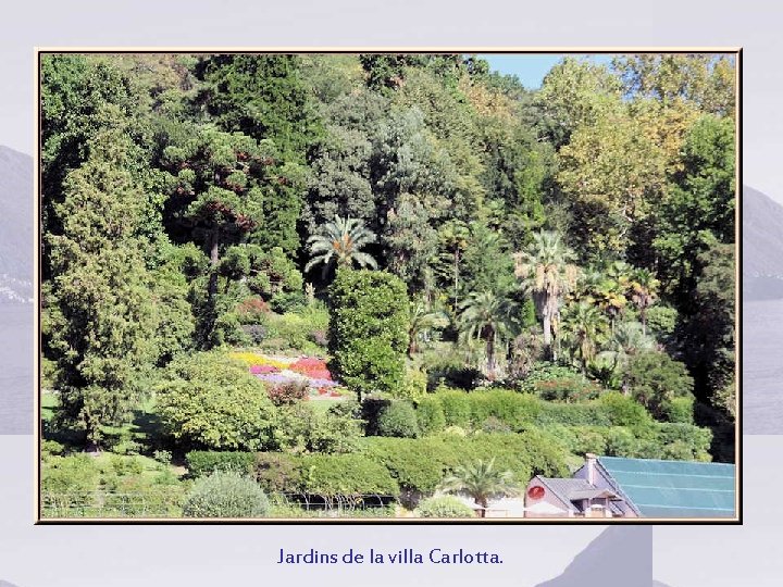 Jardins de la villa Carlotta. 