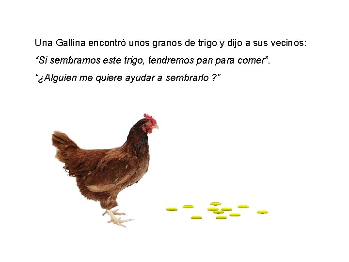 Una Gallina encontró unos granos de trigo y dijo a sus vecinos: “Si sembramos